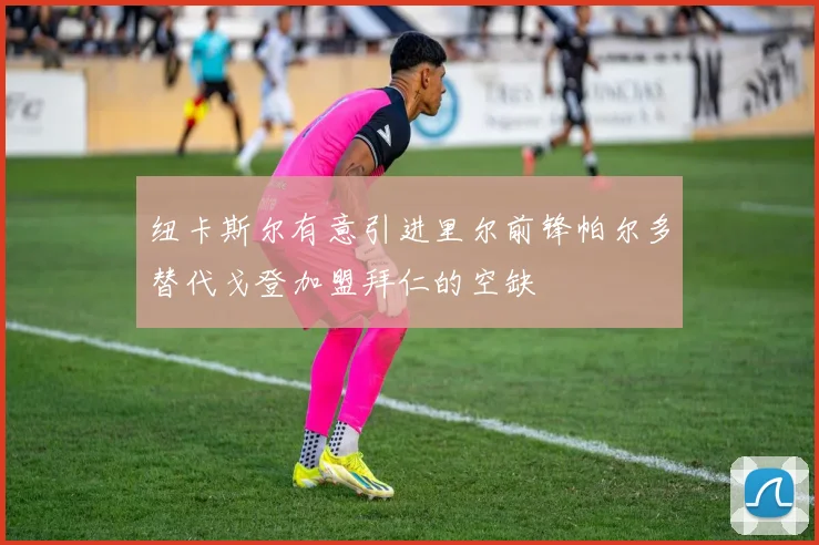 纽卡斯尔有意引进里尔前锋帕尔多替代戈登加盟拜仁的空缺