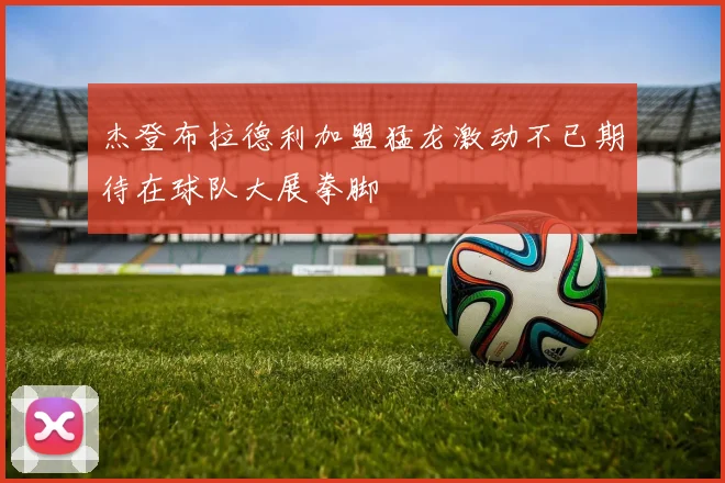 杰登布拉德利加盟猛龙激动不已期待在球队大展拳脚