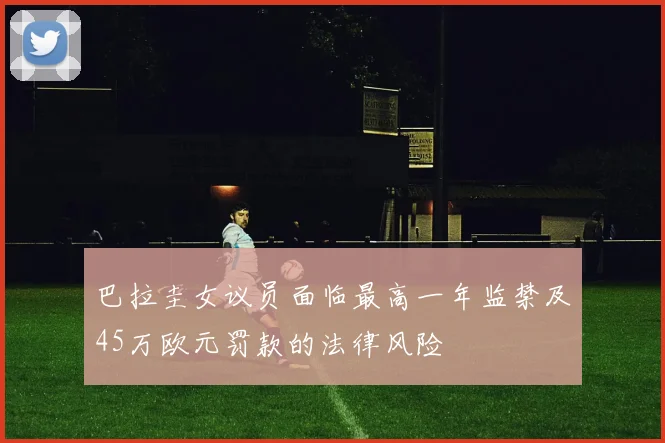 巴拉圭女议员面临最高一年监禁及45万欧元罚款的法律风险