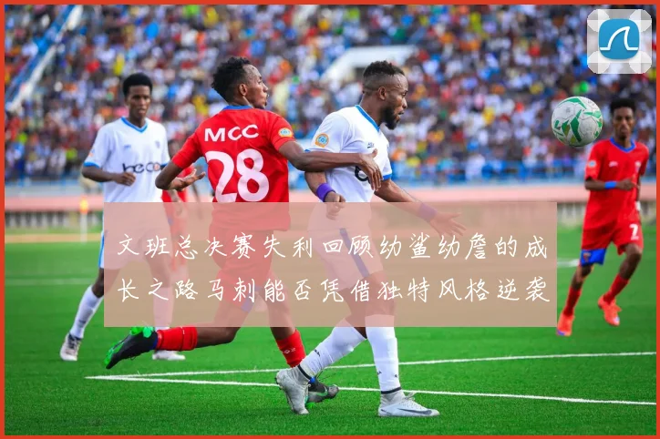 文班总决赛失利回顾幼鲨幼詹的成长之路马刺能否凭借独特风格逆袭成功
